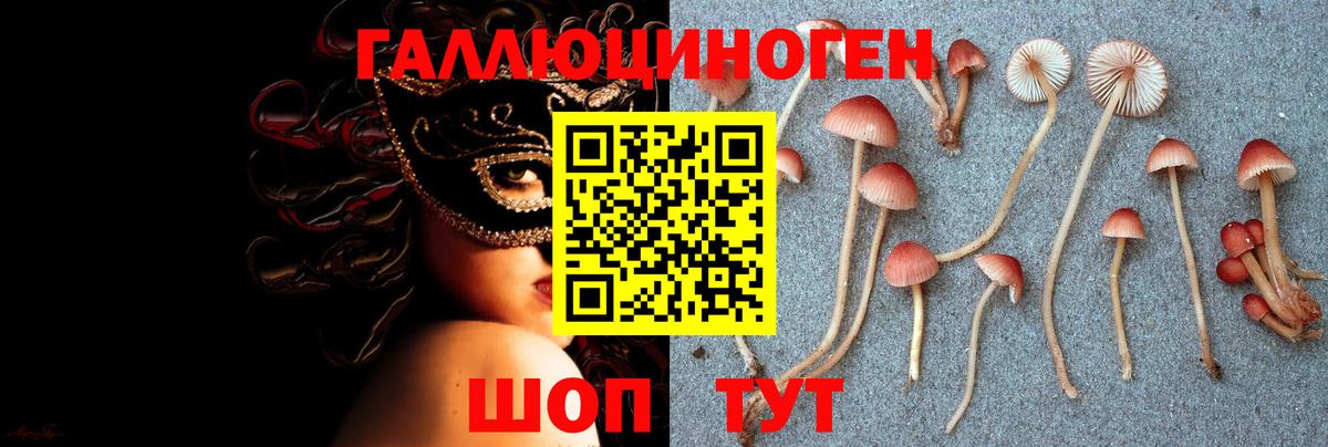 Ставрополь  Псилоцибиновые грибы мицелий  Вход с VPN  купить наркотики цена  Псилоцибиновые грибы Magic Shrooms 