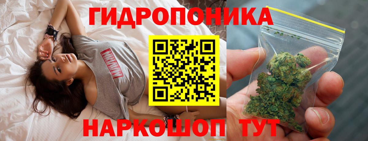 Конопля марихуана  Канабис MAZAR  Марихуана VHQ  Вход с VPN  Ставрополь 